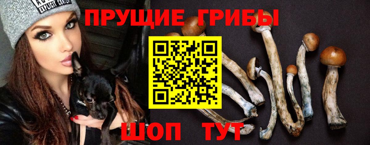 Галлюциногенные грибы GOLDEN TEACHER Нижний Новгород