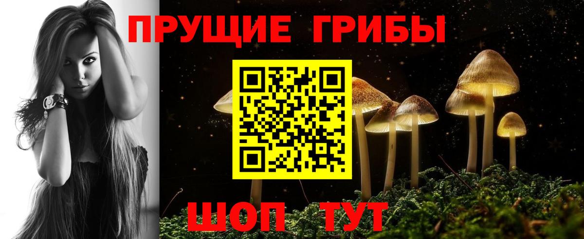 Псилоцибиновые грибы GOLDEN TEACHER  Вход с VPN  Нижний Новгород 